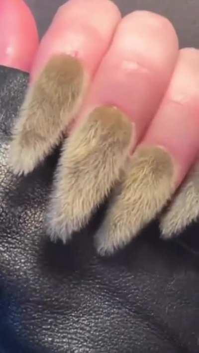 Thanks, I hate... I mean I really hate furry nails