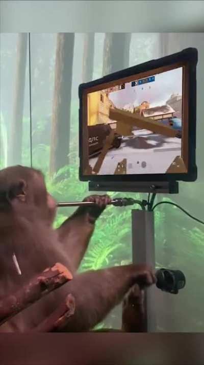 The only situation where using Xim is acceptable