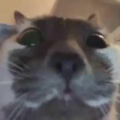 Figuring out who the TV is be like