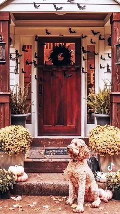 What’s your Halloween aesthetic?