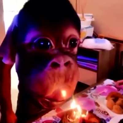 blowing out the candles