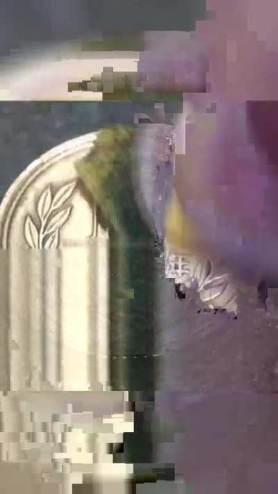 Polishing the coin revealed its original luster.