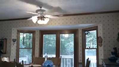 And The Prize For The Most Stupid Human Goes To ...