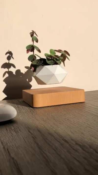 The perfect stage for this diva