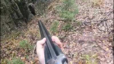 Dangerous encounter with a Russian bear