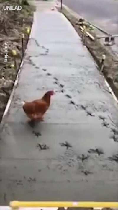 'For the fallen on Thanksgiving!'