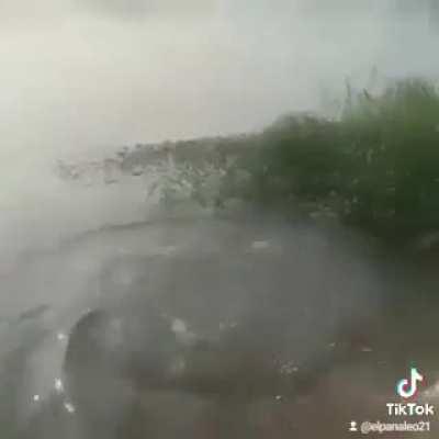 Let's play in the river