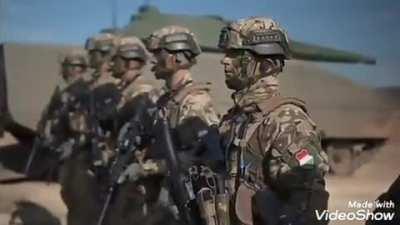 Hungarian vs Romanian army 🇭🇺🤜🏿🤛🏿🇷🇴