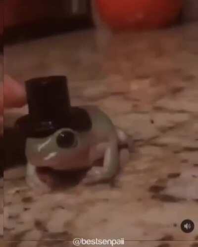 Frog with the hat can't exist in our timeline (Original Content)