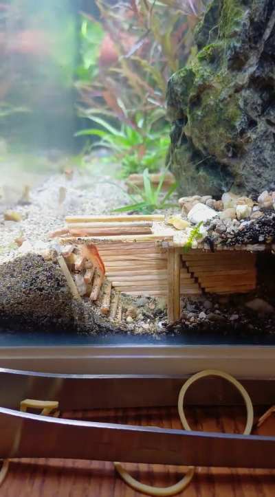 First worker in the mine ⛏️💎