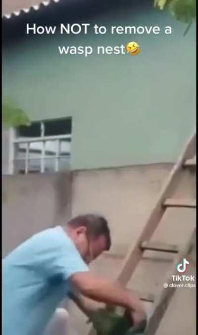 The shear stupidity is what made me chuckle 🤣