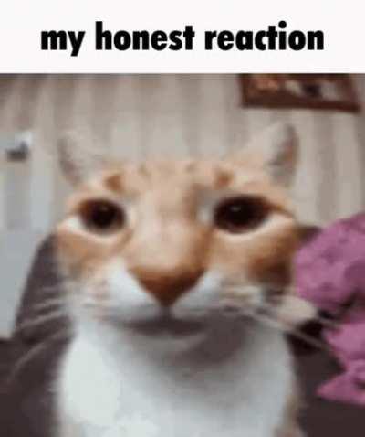 my reaction to watching the trailer for 