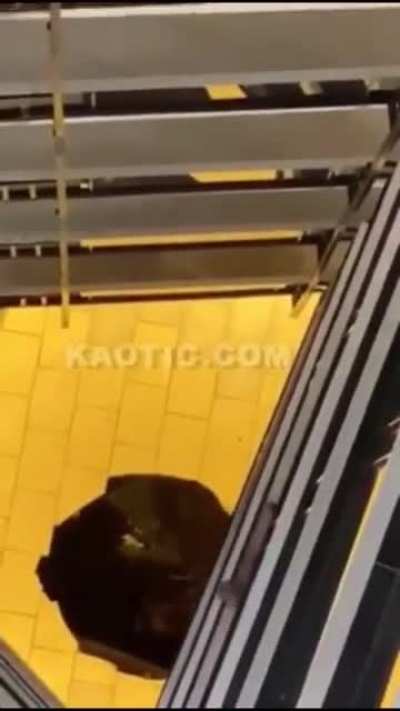 Kid Trying To Escape Police Falls To His Death