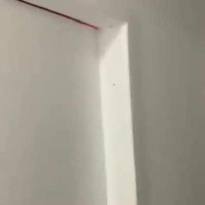 Oq vc tem a dizer sobre isso adm?