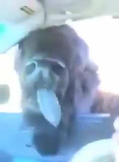 Just listening to music