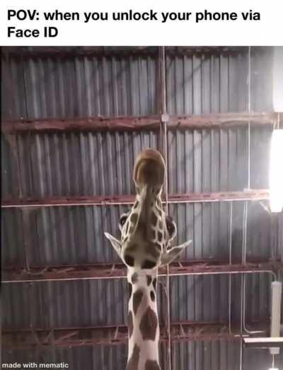 Every time I use apple pay