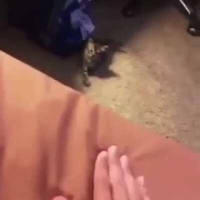 vem cá você, mesma distância