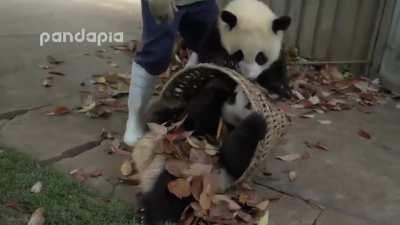 Cleaning the house with the kids around.