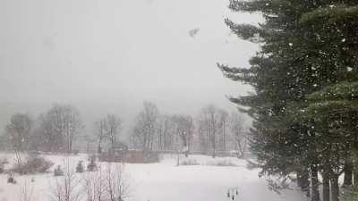 Snow in the Fingerlakes