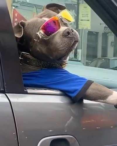 Boy was straight chillin'