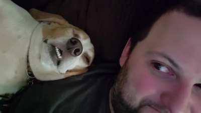 She fell asleep on my shoulder and now I can't hear the TV.