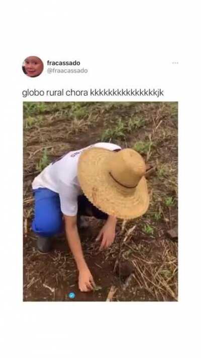 Só zap rindo