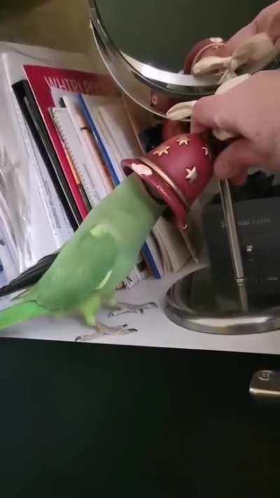 Answering the pretend phone