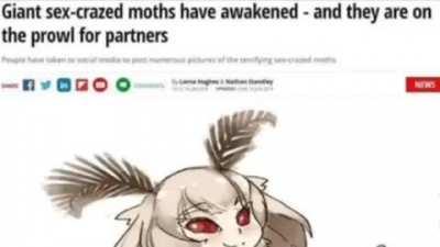 Giant moths