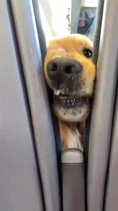 I would definitely give him my snack