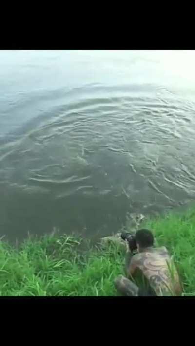 Up close and personal with the croccodiles.