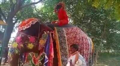 while doing yoga on an elephant