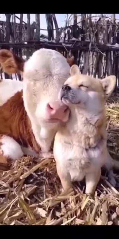 Keeping eachother warm