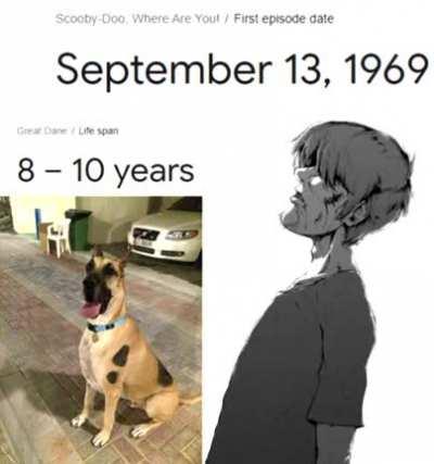 R.I.P Scooby Dooby Doo..