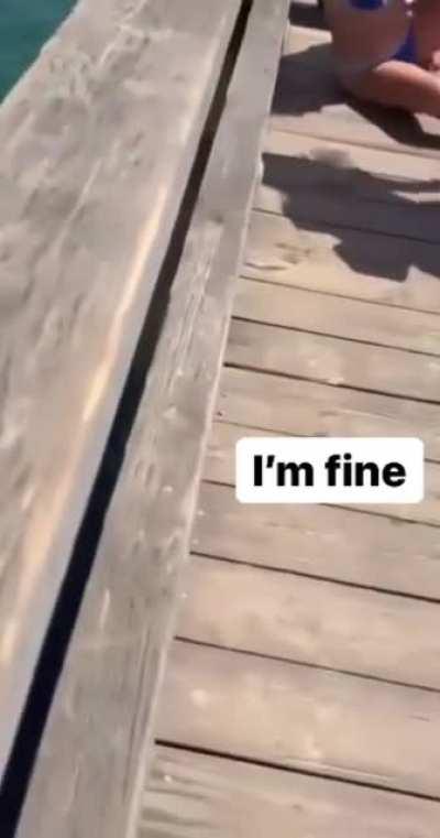 WCGW standing on a fence