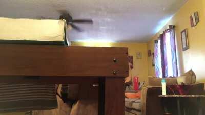 Kid decides the smartest thing to do is fall backwards as hard as he can