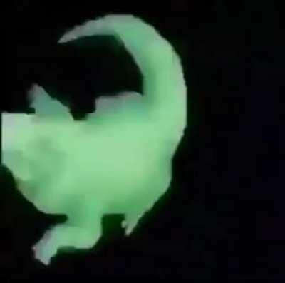 Zenith swinging like