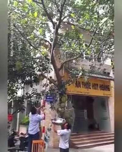 Free fruit comes with free headache