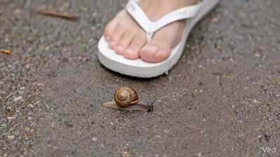 Poor Snail Crushing Flipflip