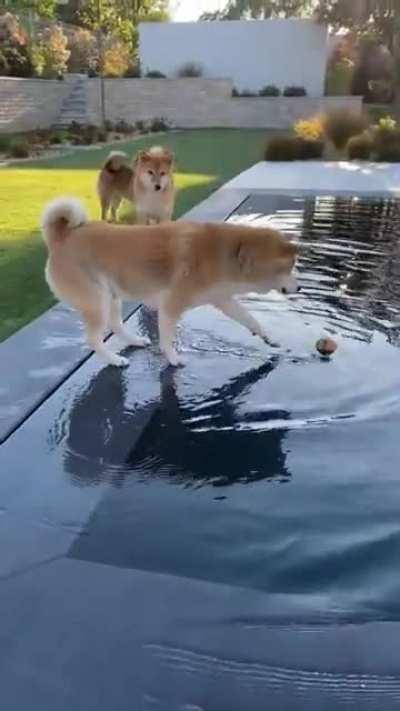 to Grab Ball Floating in Pool