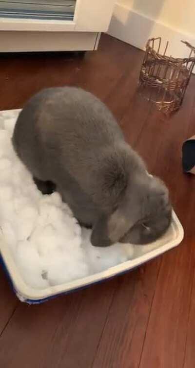 I brought her some snow ❄️