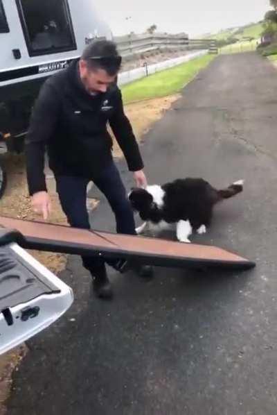 Why da dog jumpin? 🤔🤔🤔