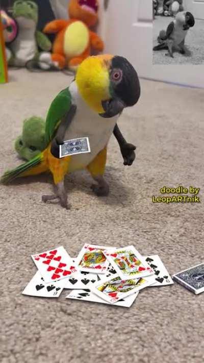 🃏 UNBEATABLE 🃏