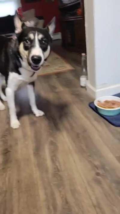 Throwing a fit over waiting for his food to cool.