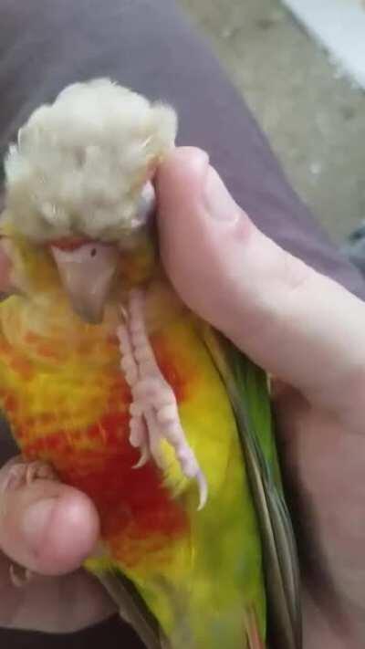 If it was up to Bell, she would stay like this all day