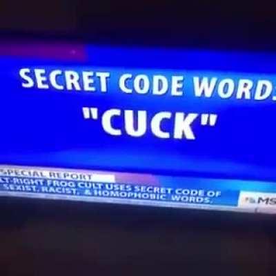 ALT-RIGHT FROG CULT USES SECRET CODE OF SEXIST, RACIST, & HOMOPHOBIC WORDS