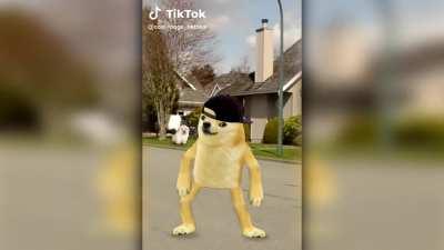 Doge does epic tiktok challenge!?