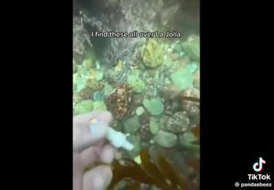 This is what us osc fans see and hear