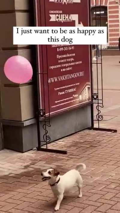 27 y/o me with my RC car