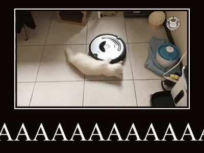 PLEASE HELP! THERE IS A FLESHY OBJECT STUCK TO THE SENSOR!