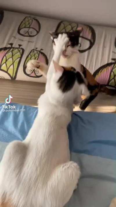 Some things never change